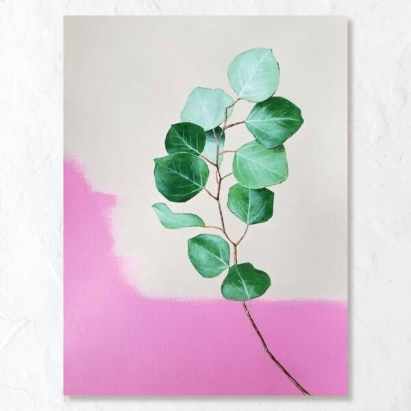 Eucalyptus No.1