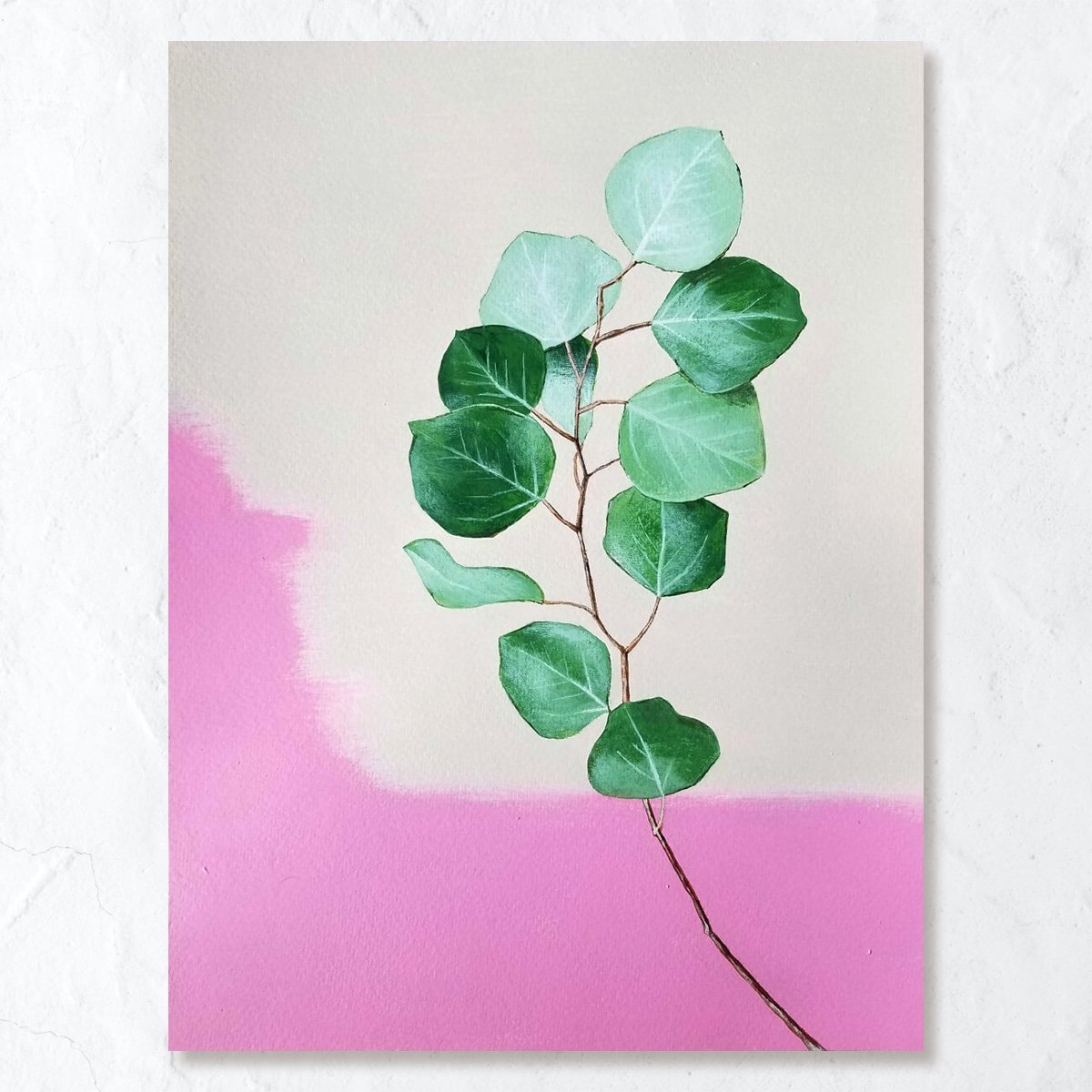 Eucalyptus No.1