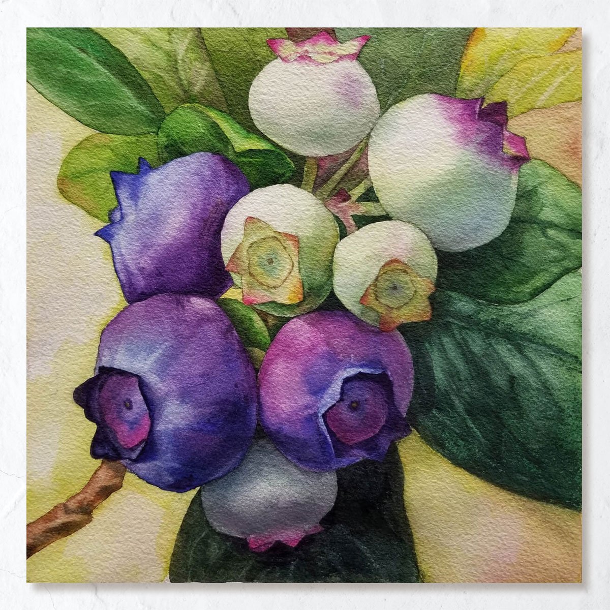 Blueberry