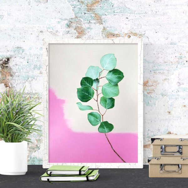 Eucalyptus No.1